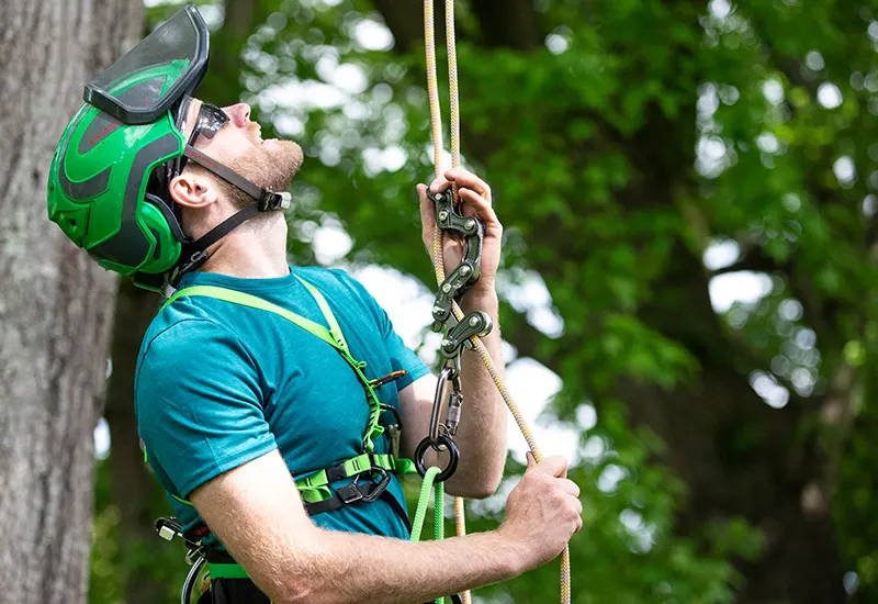 Technical Tree Climbing Moving Rope Systems (MRS) - North American Training  Solutions