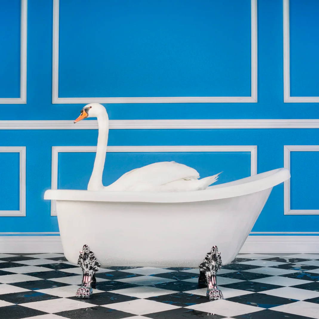 Tyler Shields Photography
