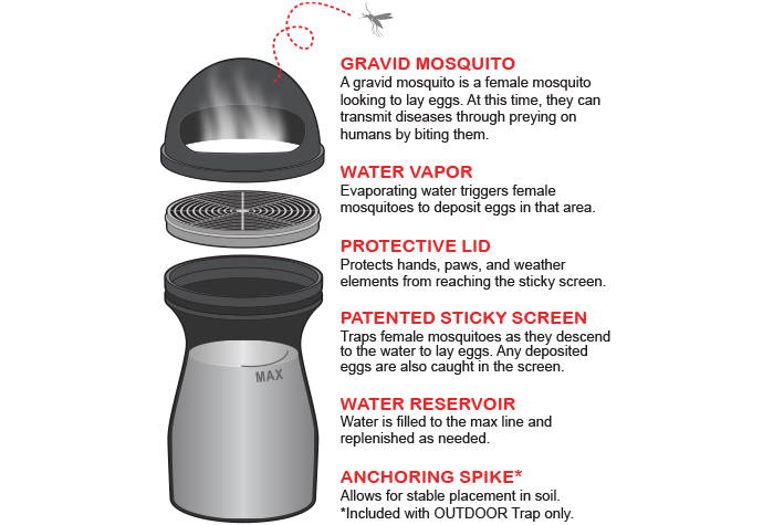 Product illustration showing the features of the STUCK indoor mosquito trap