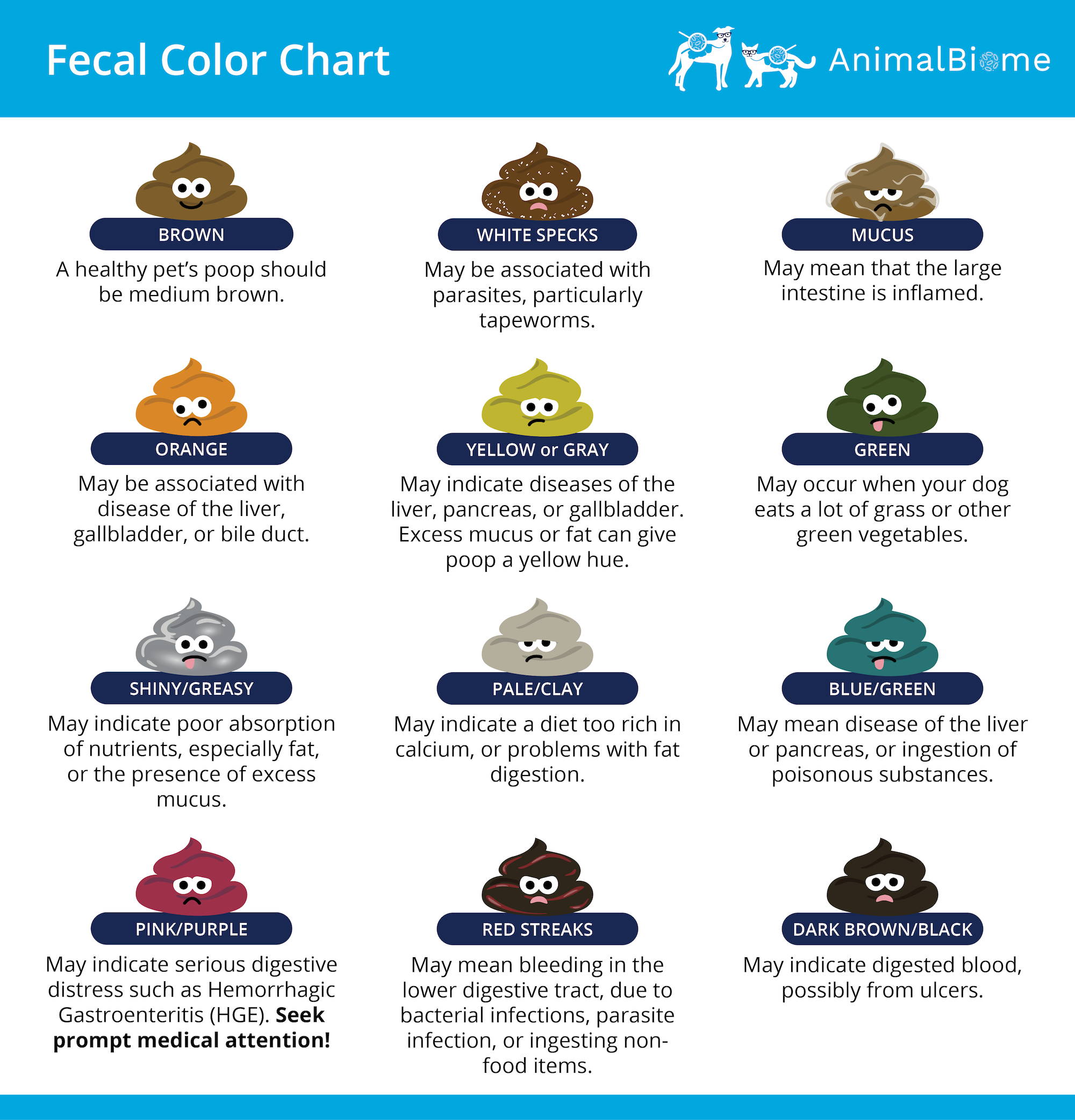 what does my dogs poop color mean