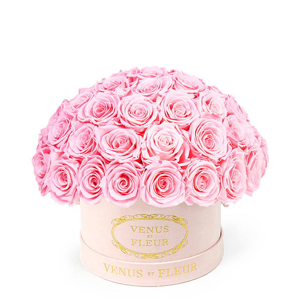 Venus Et Fleur Real Roses That Last A Year