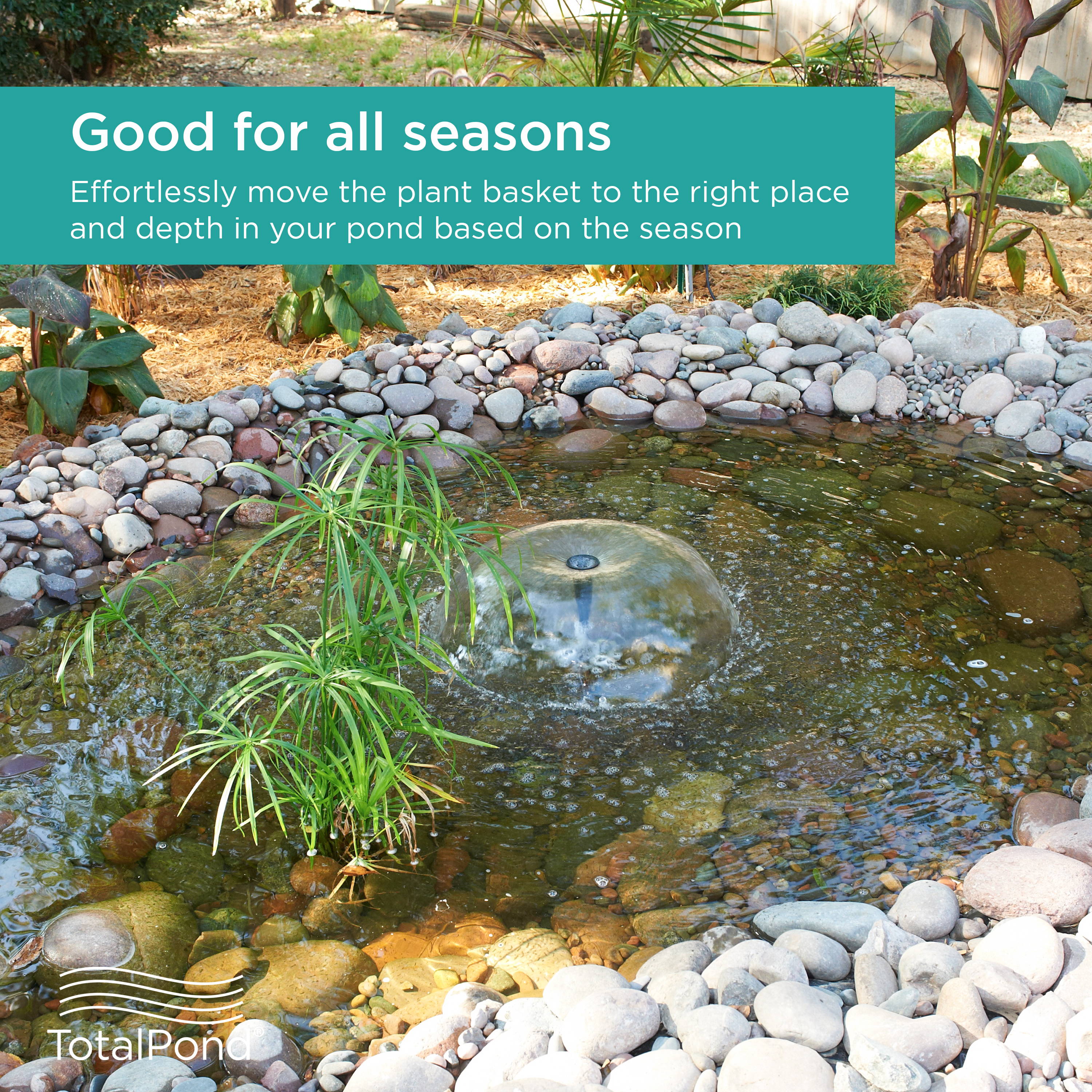 Plant Basket is easy to move in your pond