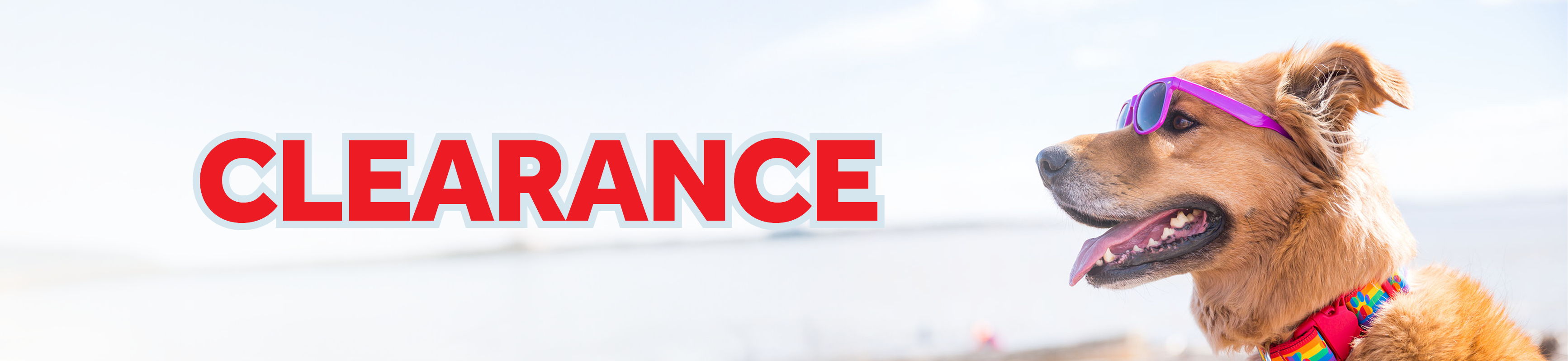 Clearance section banner
