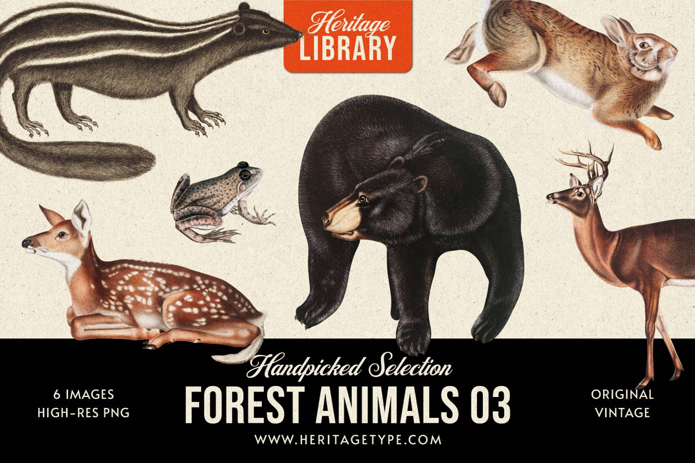 Forest Animals 03 - Free Illustrations– Heritage Type Co.