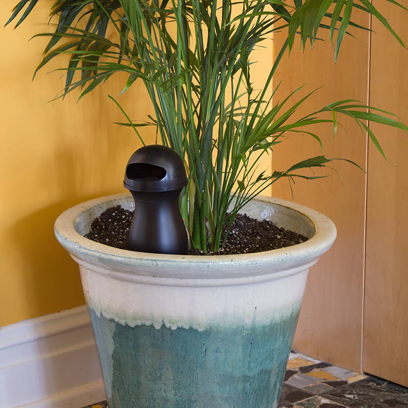 STUCK indoor mosquito trap placed in a planter
