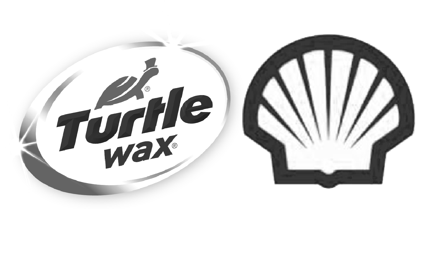 Shell and Turtle Wax