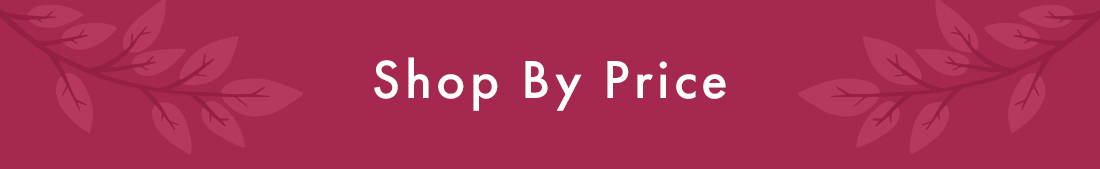 Shop By Price
