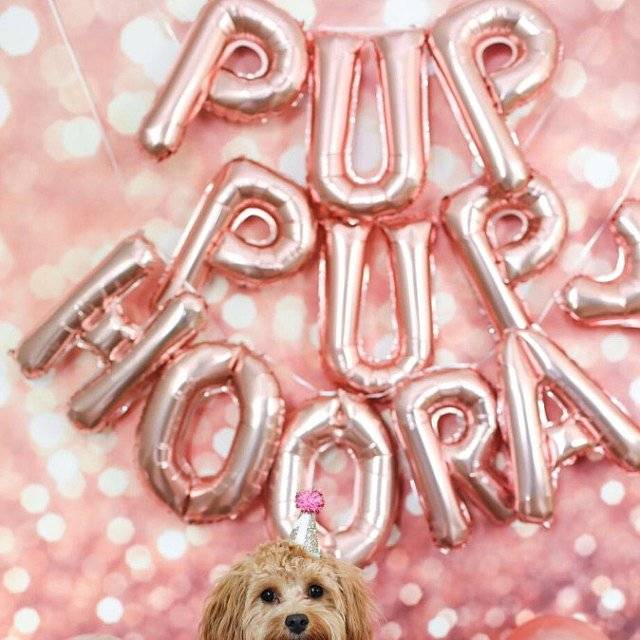 Pup Hooray Puppy Birthday Party Decoration | Puppy Dog Birthday Party Decoration Balloon | Dogs Birthday Party Banner/Sign