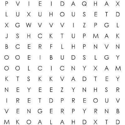 Zoomy Word Search