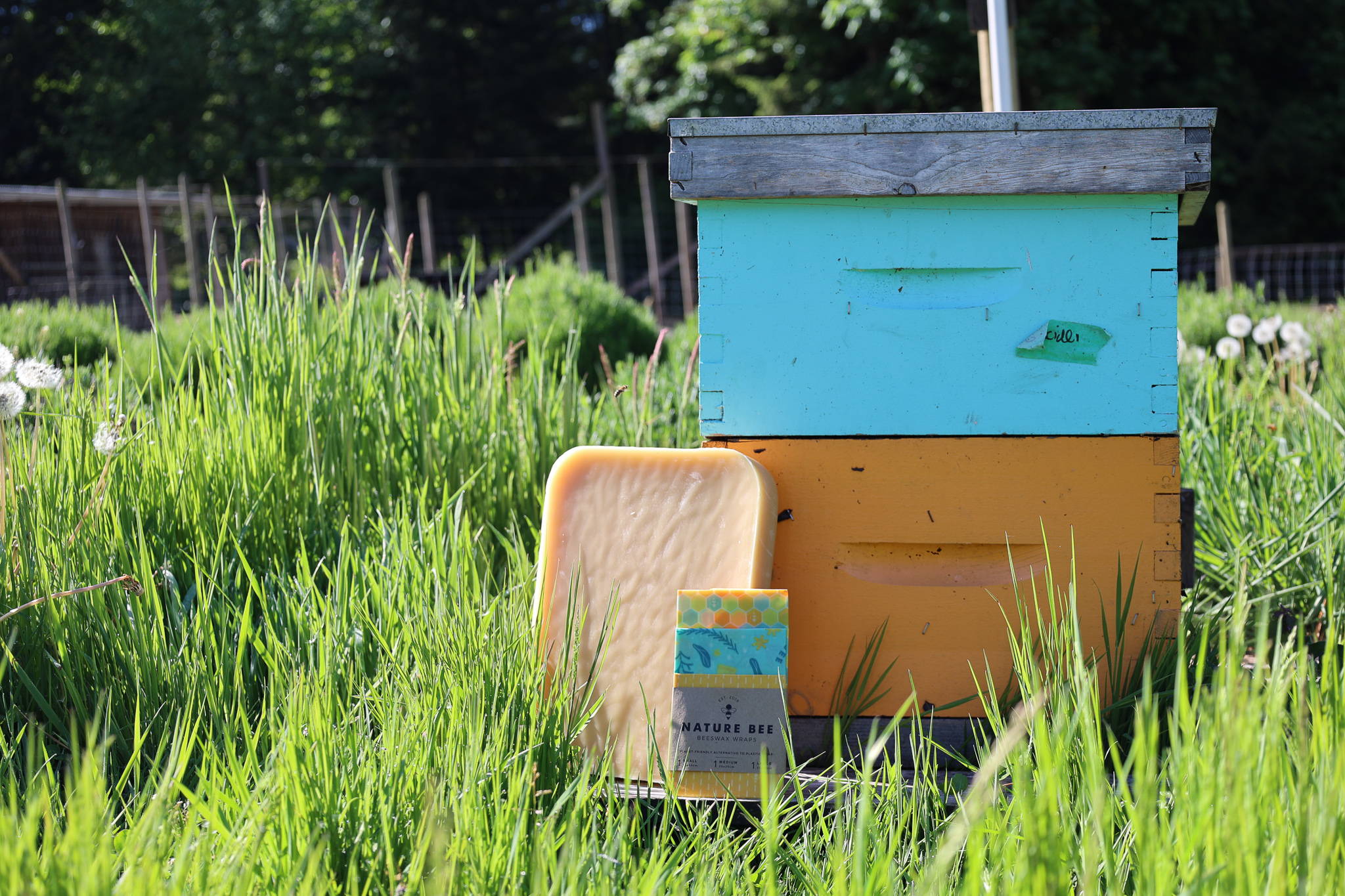 Blue and yellow Bee hive with Block of Beeswax and Nature Bee beeswax Wraps in Bee Lovers Pattern at Country Bee Farm