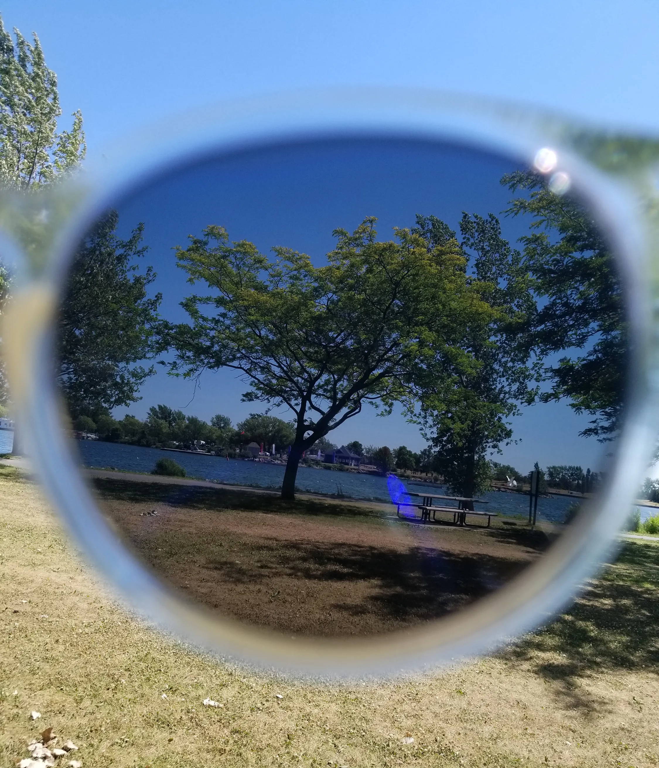 View of nature through polarized lenses
