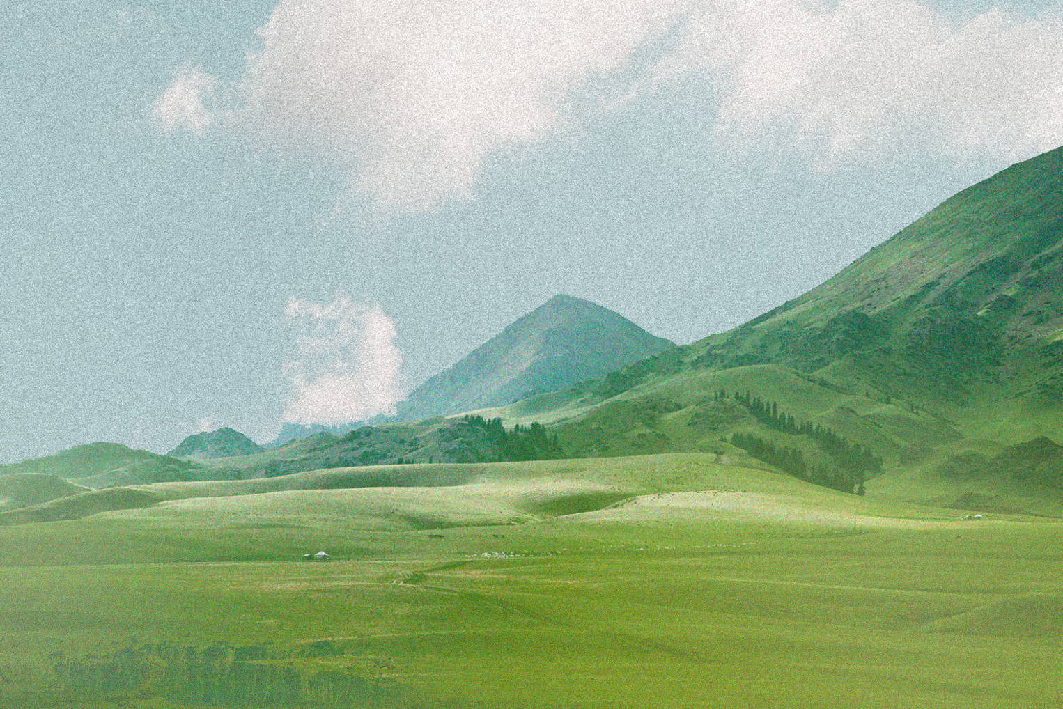 image of a hillside valley - sustainable organic loose leaf tea
