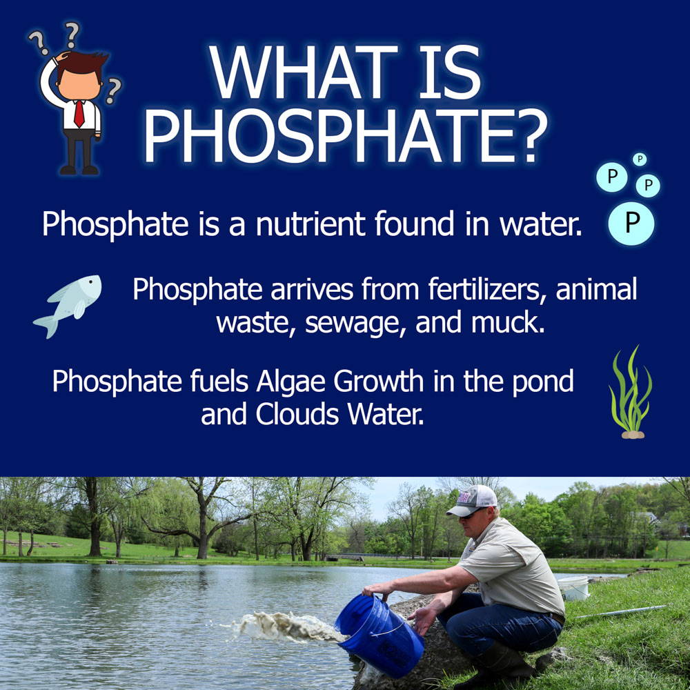 what-is-phosphate