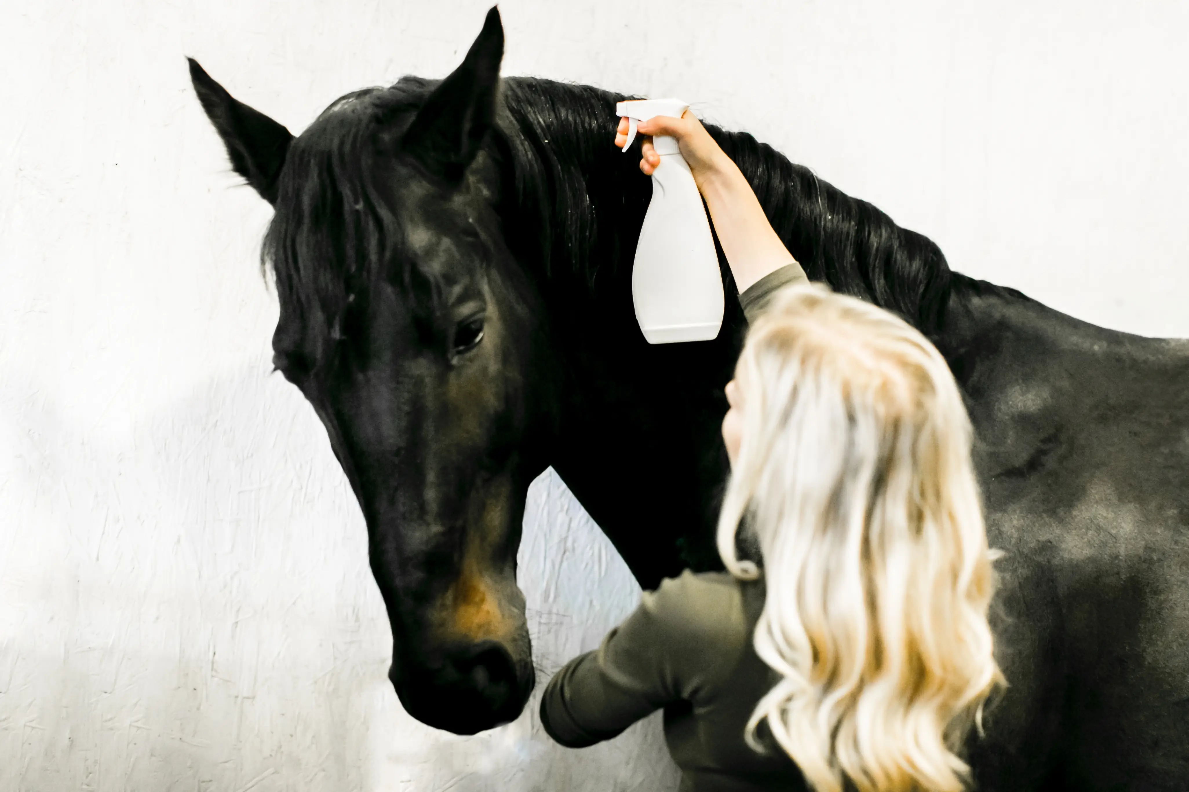 girl holding generic detangle spray near mane