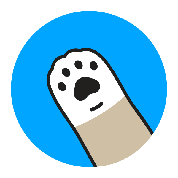 content creator paw