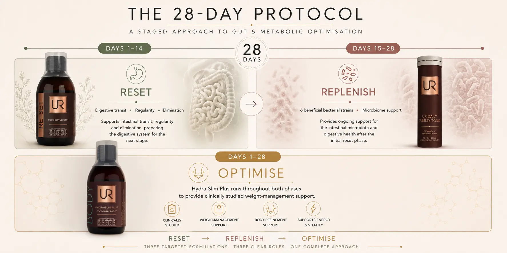 The 28-Day Protocol overview with product descriptions and benefits.