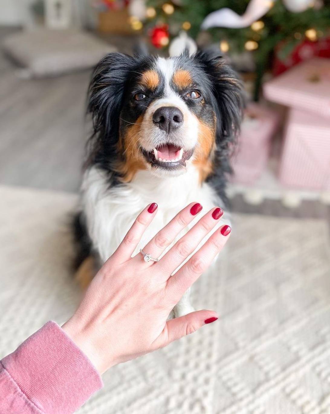 Dog and a Woman with an Engagement Ring