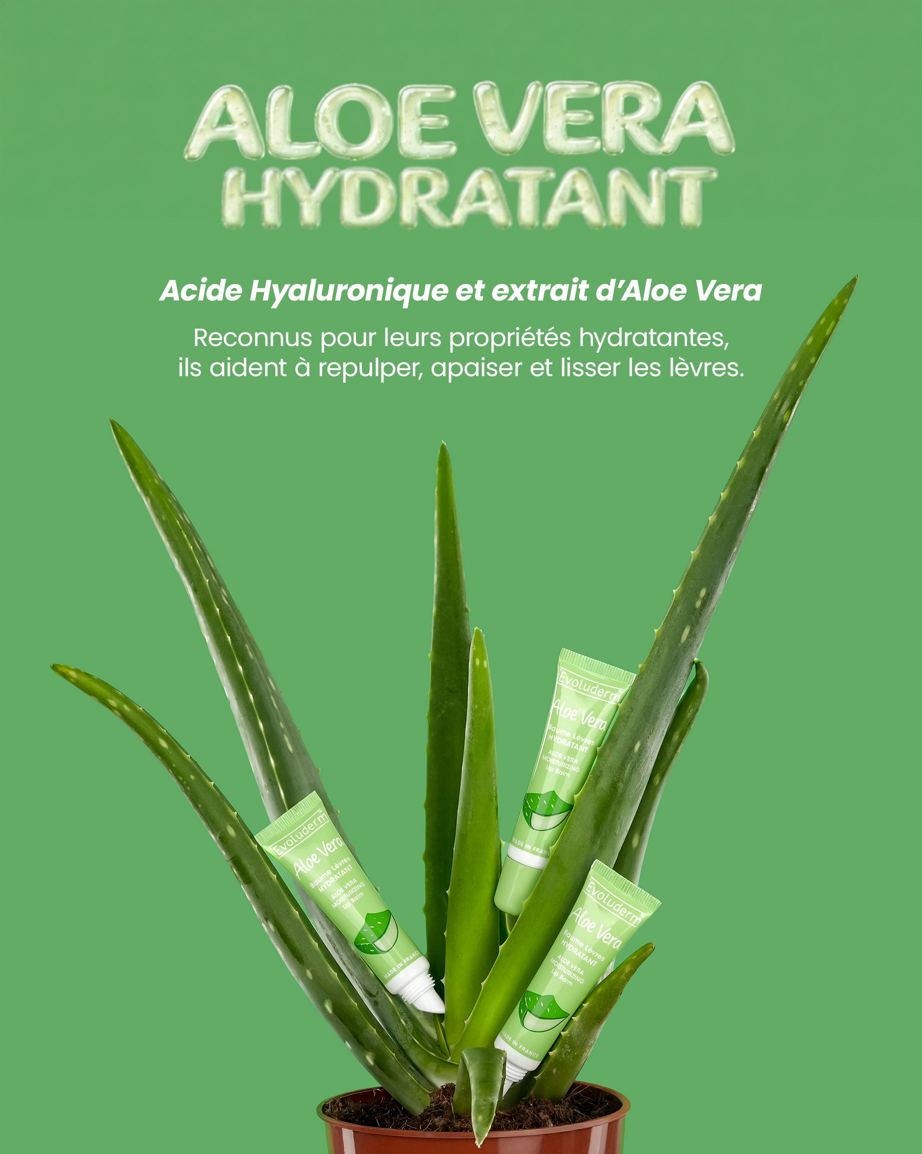 Aloe vera plant with hydration product packaging and green background.