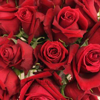 Red roses - What do red roses mean