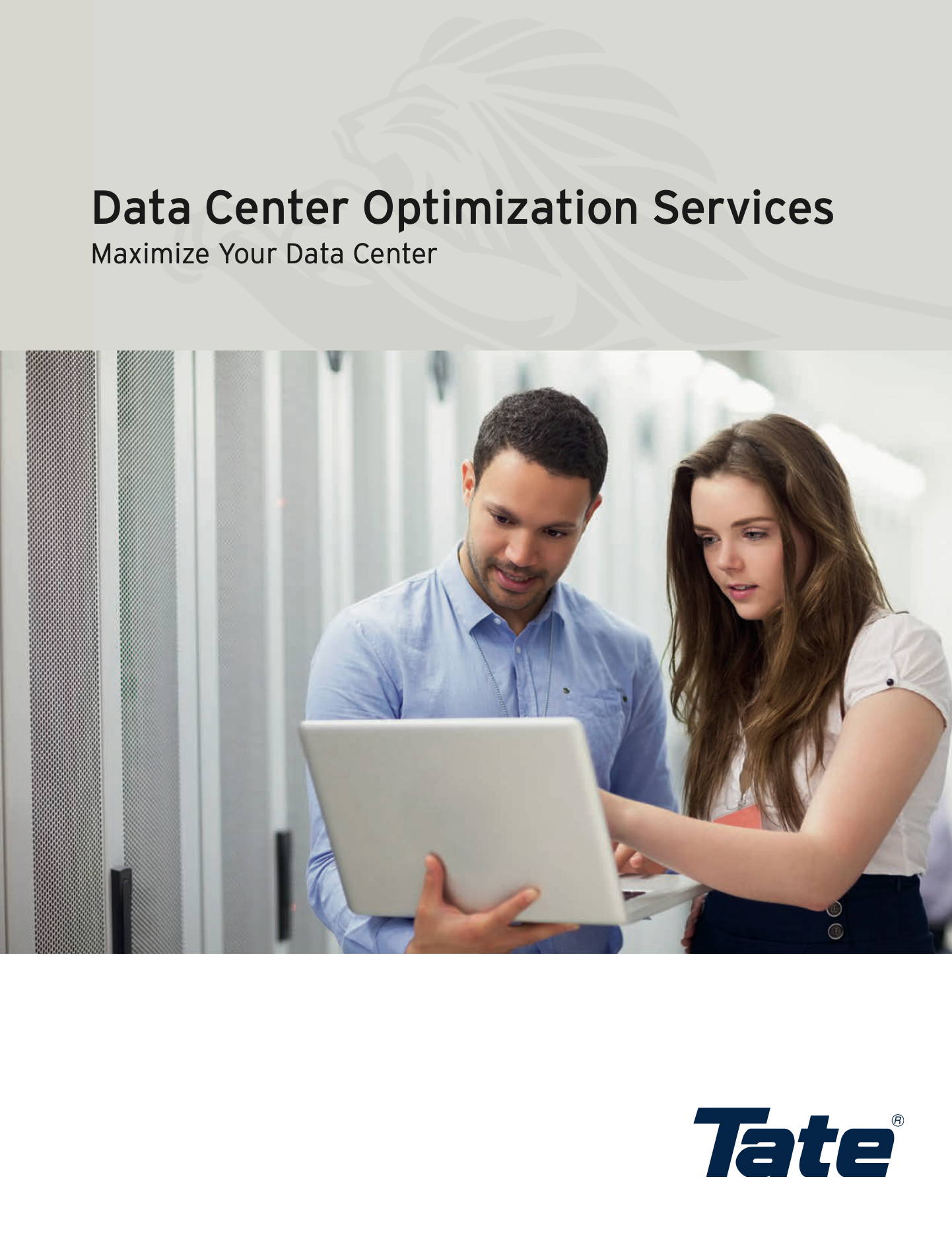 Tate Data Center Optimization Services Brochure