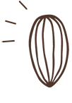 cocoa pod illustration with three lines on the left.