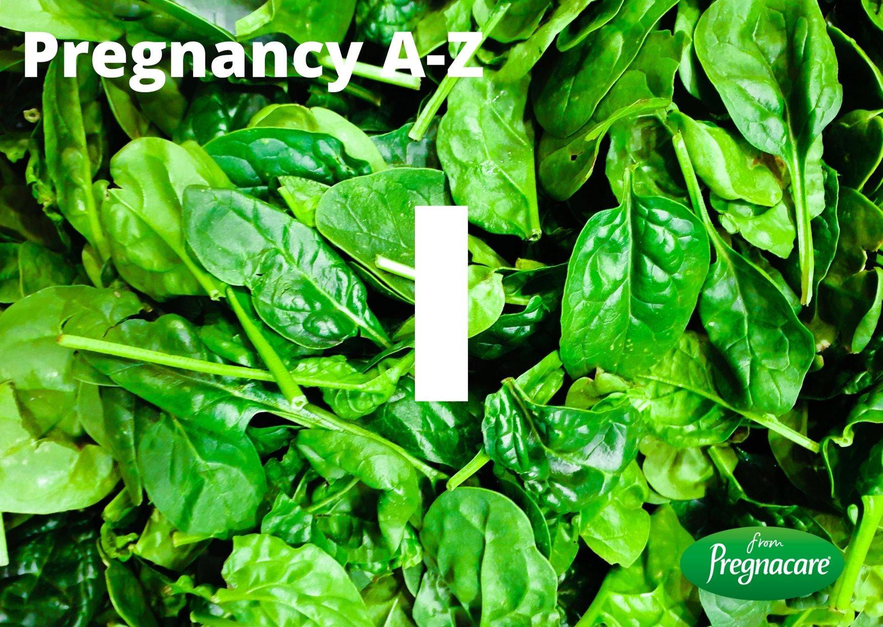 Pregnacare A-Z guide to pregnancy and birth