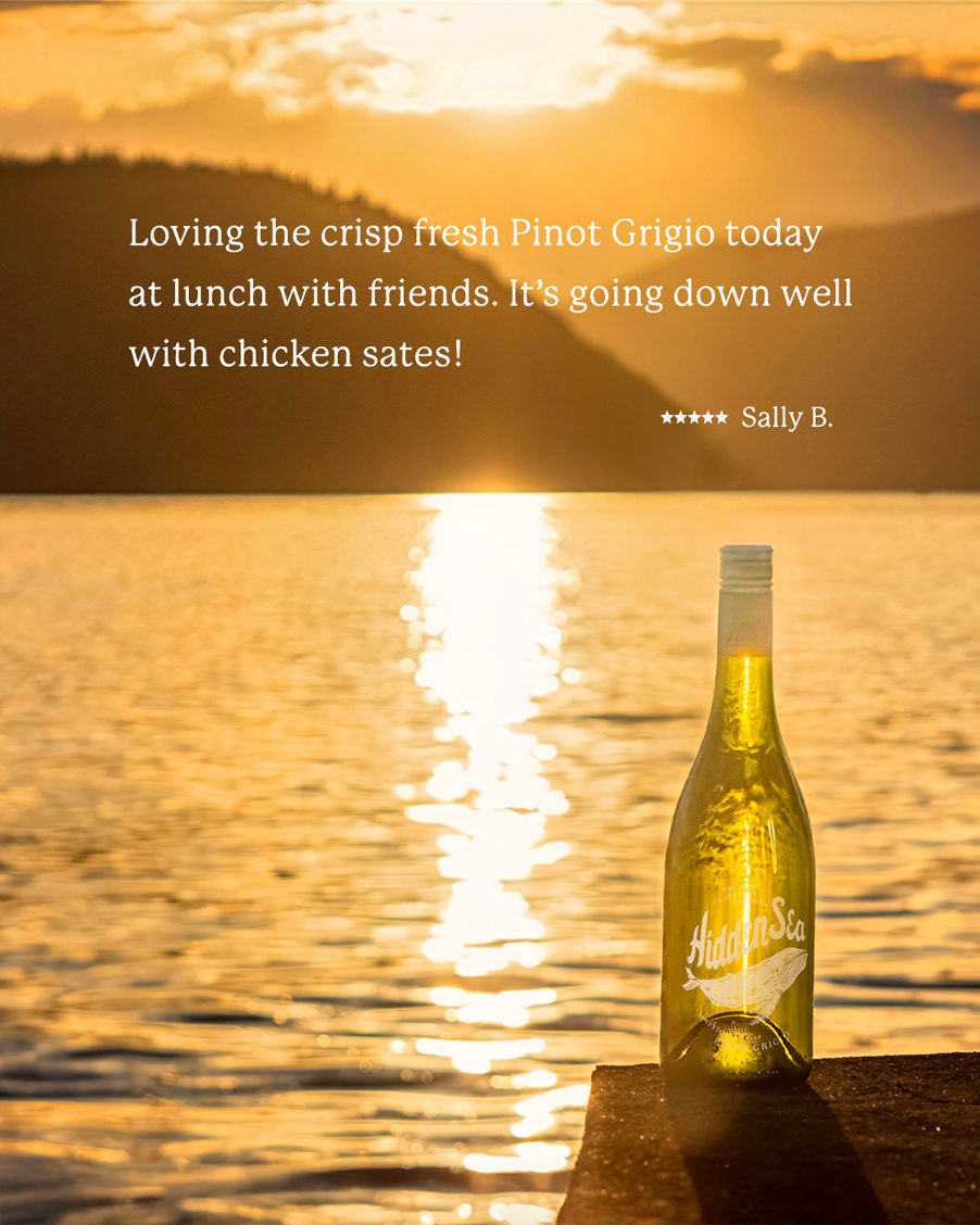 A The Hidden Sea Pinot Grigio bottle on a dock at sunset with a 5-star review quote about enjoying crisp Pinot Grigio with lunch — Sally B.