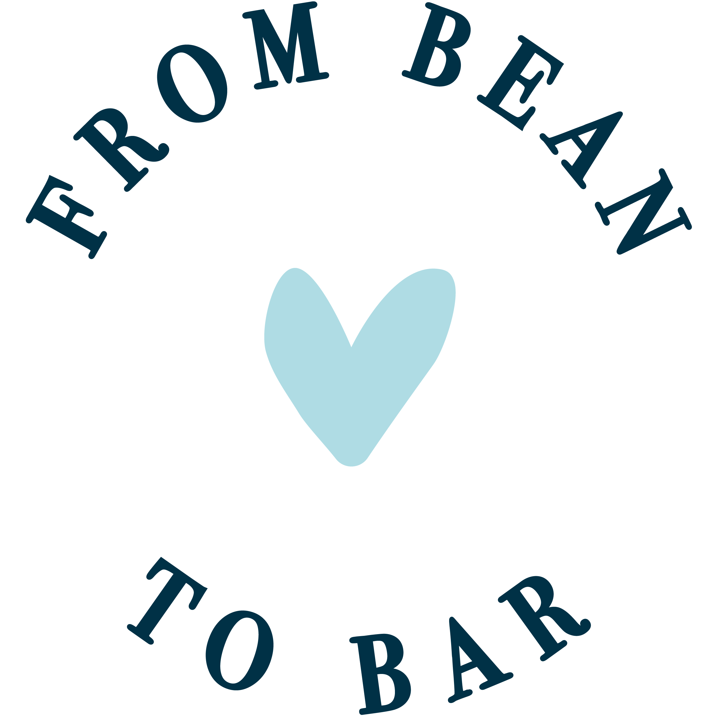 from bean to bar