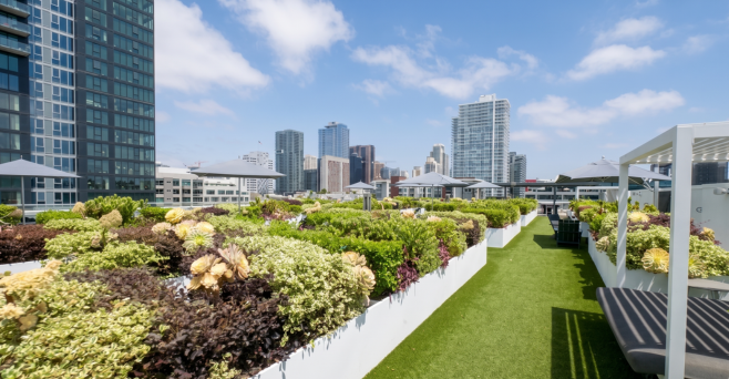Rooftop garden with city skyline and blue sky in the background.