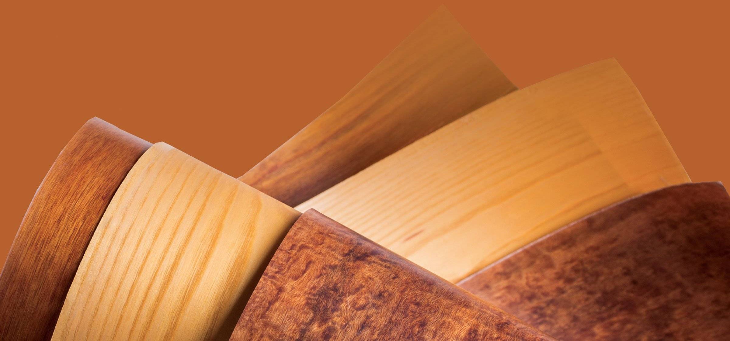Wood Topsheets Closeup