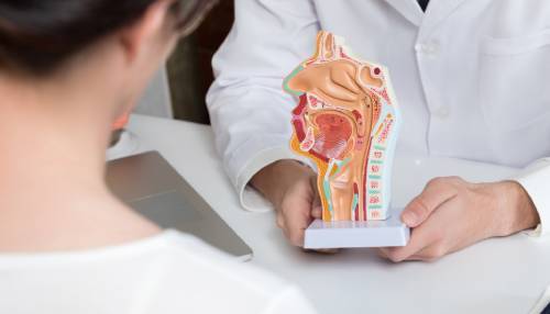 En lege i hvit frakk viser frem en figur av svelg og hals til en pasient – allergi kan gi ulike symptomer i halsen