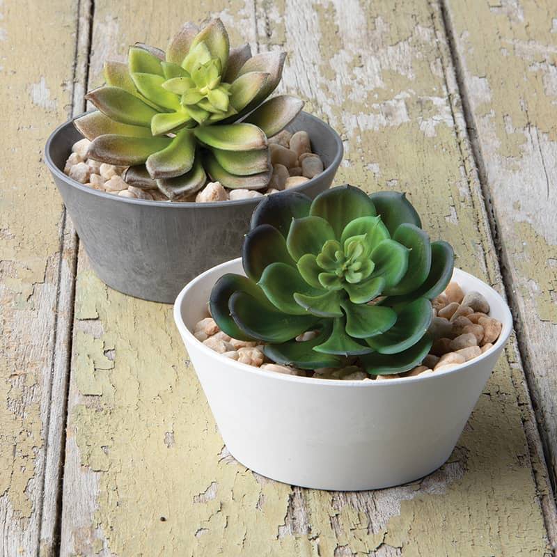 A grey and a white napa mini bowl planters