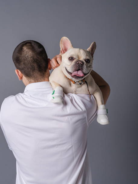 man in white polo with french bull dog