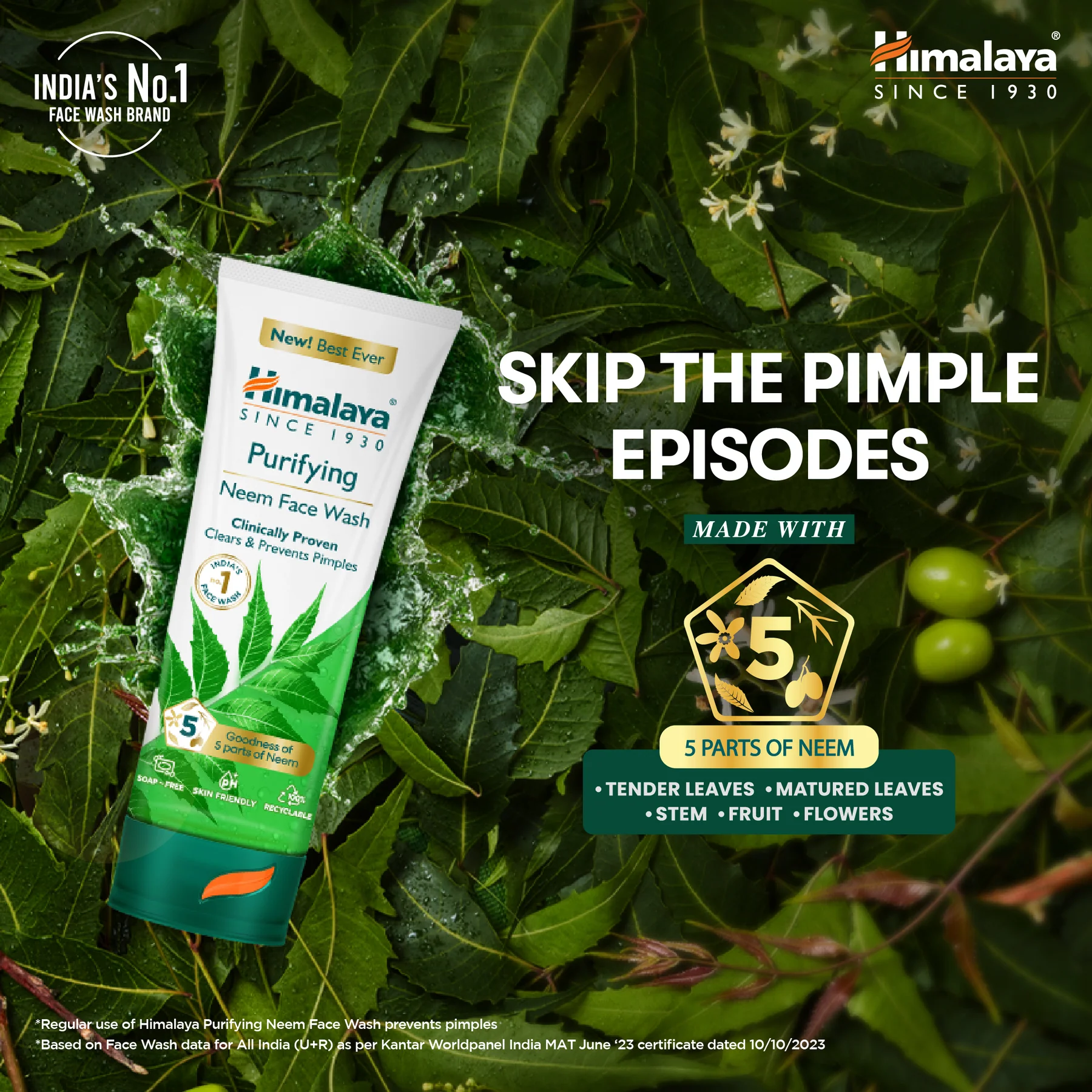 neem facewash for winter