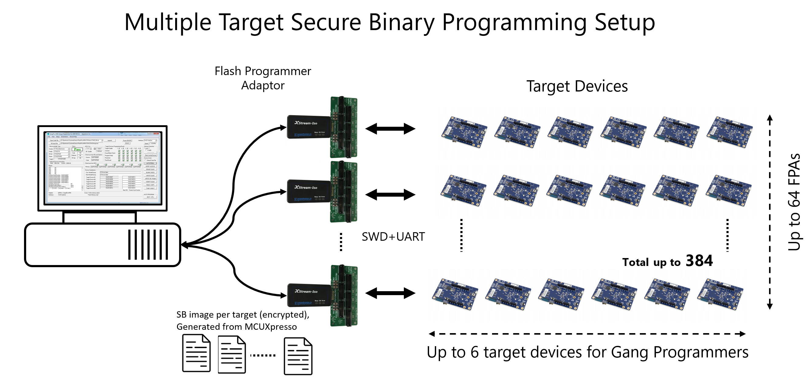 Multiple target secure binary programming setup