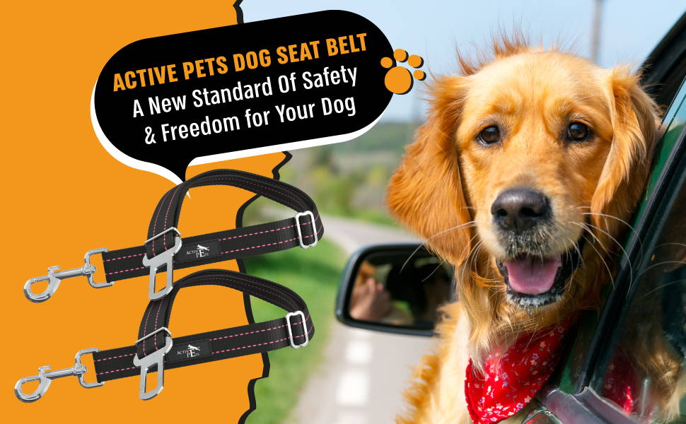 Cinturón de Seguridad Pet Car - Spainfy