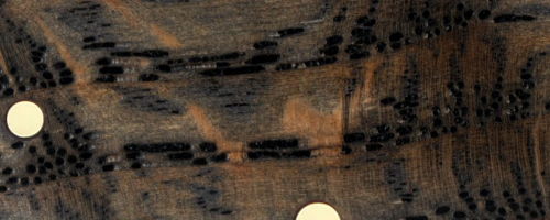 Close-up of patterned wood with two circular inlays.