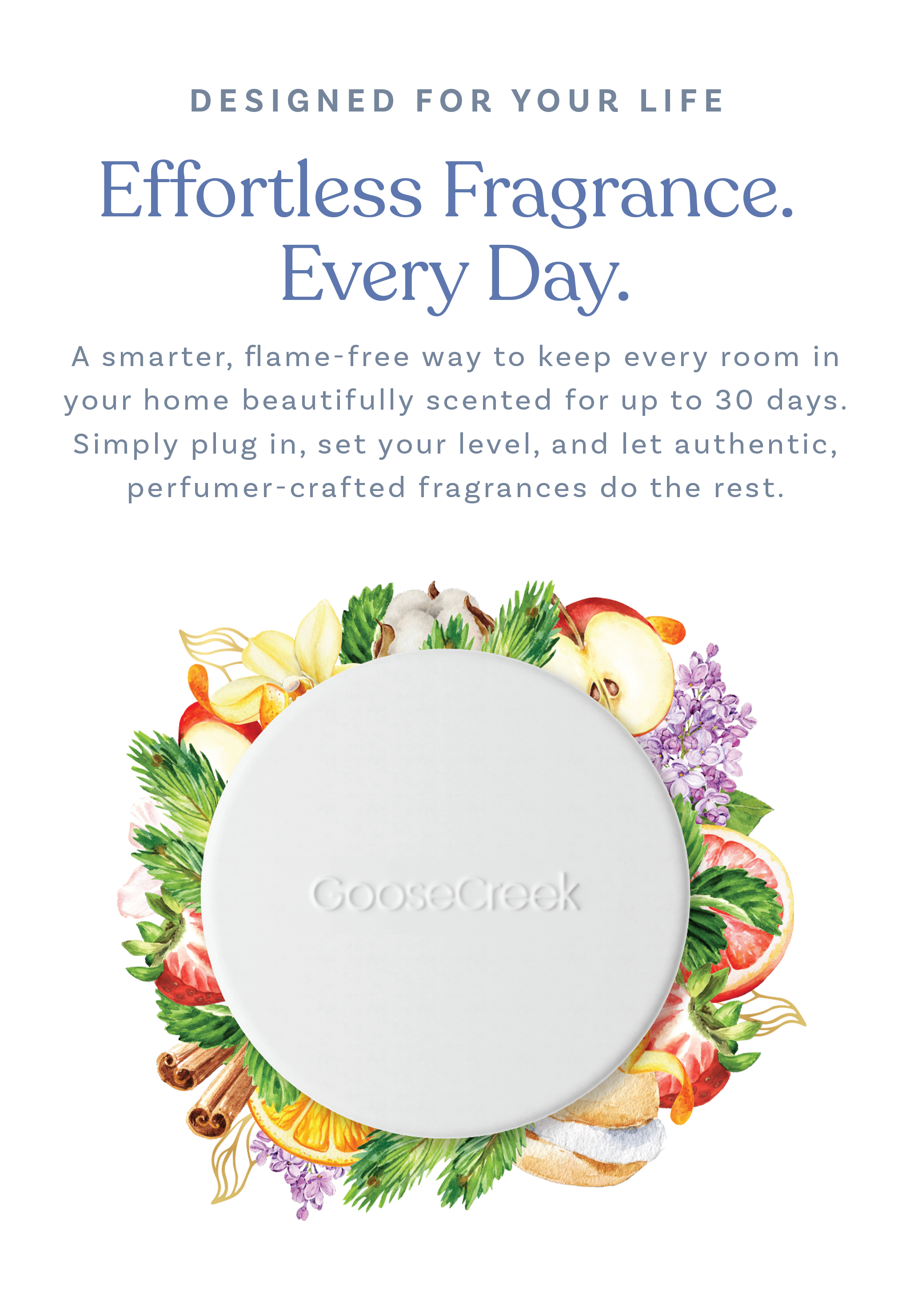 Effortless fragrance diffuser with a floral and herbal background.
