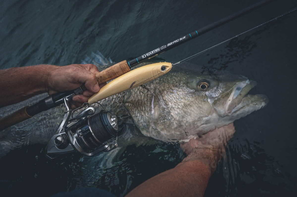 Go Time for Fall Stripers – G. Loomis US