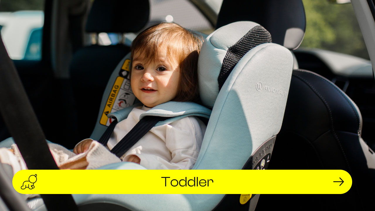 Avianaut Toddler Car Seats