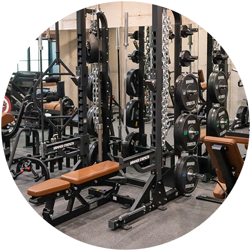 Rack and plates in Don Saladino's home gym