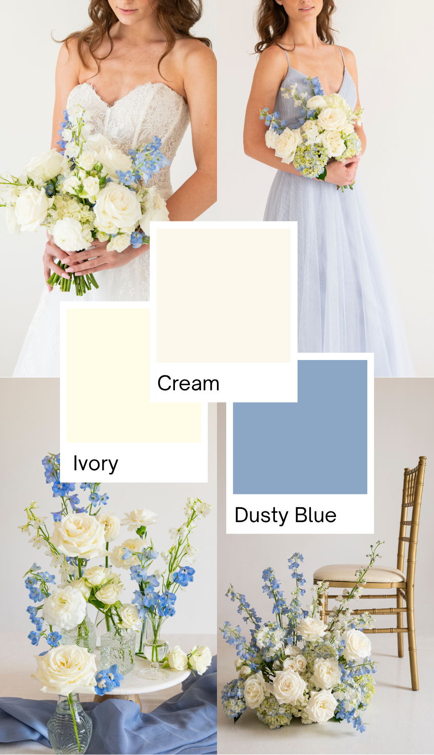 coastal hydrangea