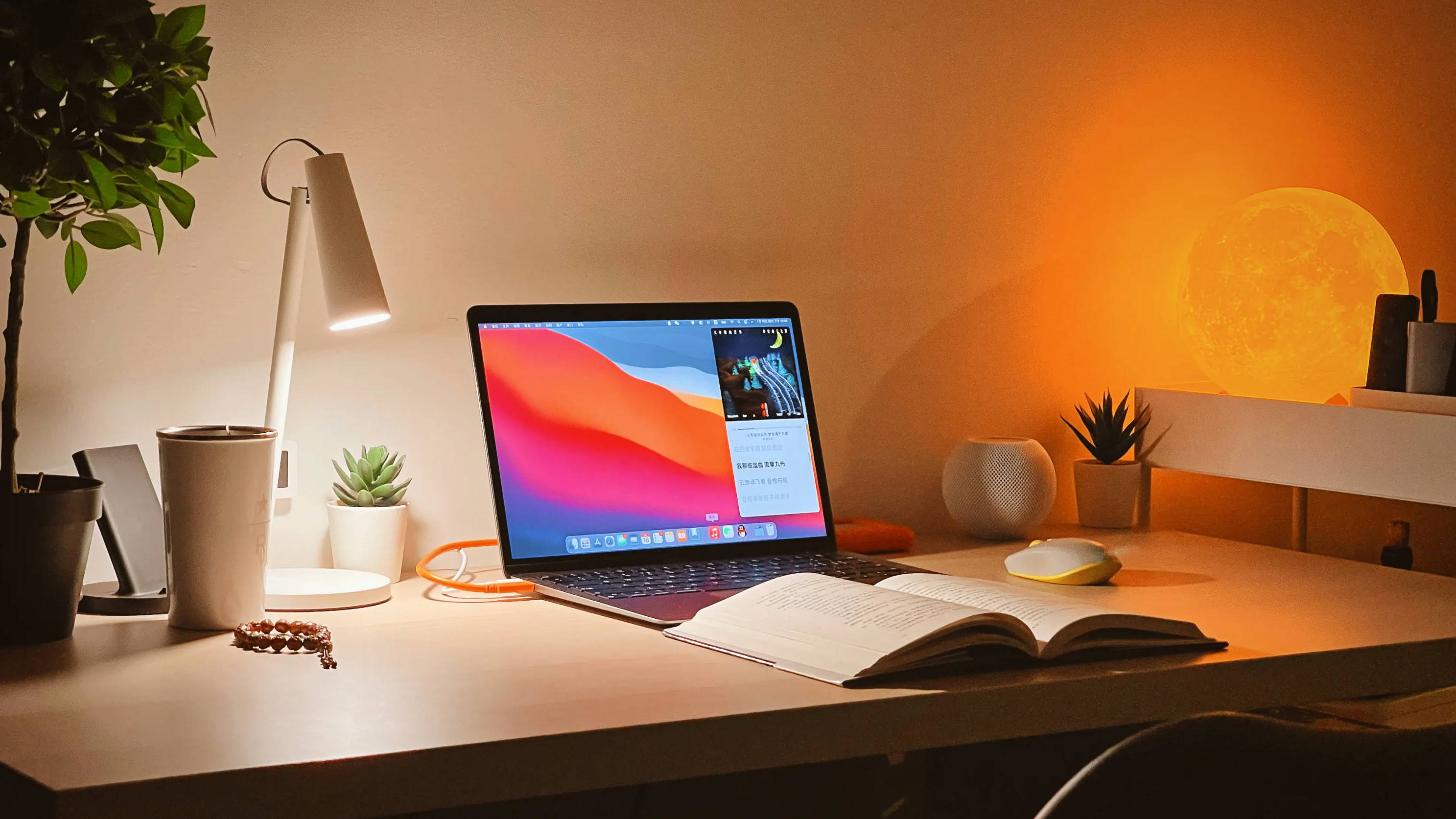 How do I connect my NVR to my laptop?