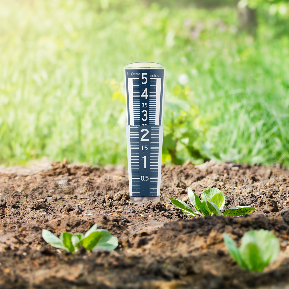 Blue raind gauge with easy to read numbers