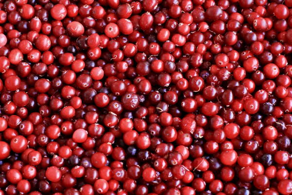 Cranberries