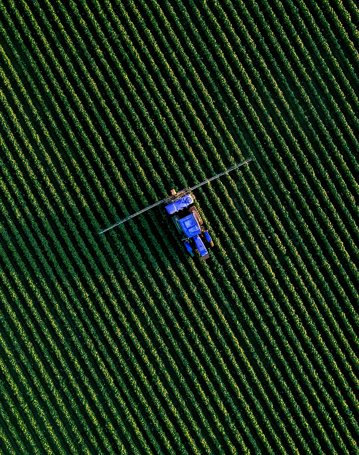 A Stripe Representing the countryside