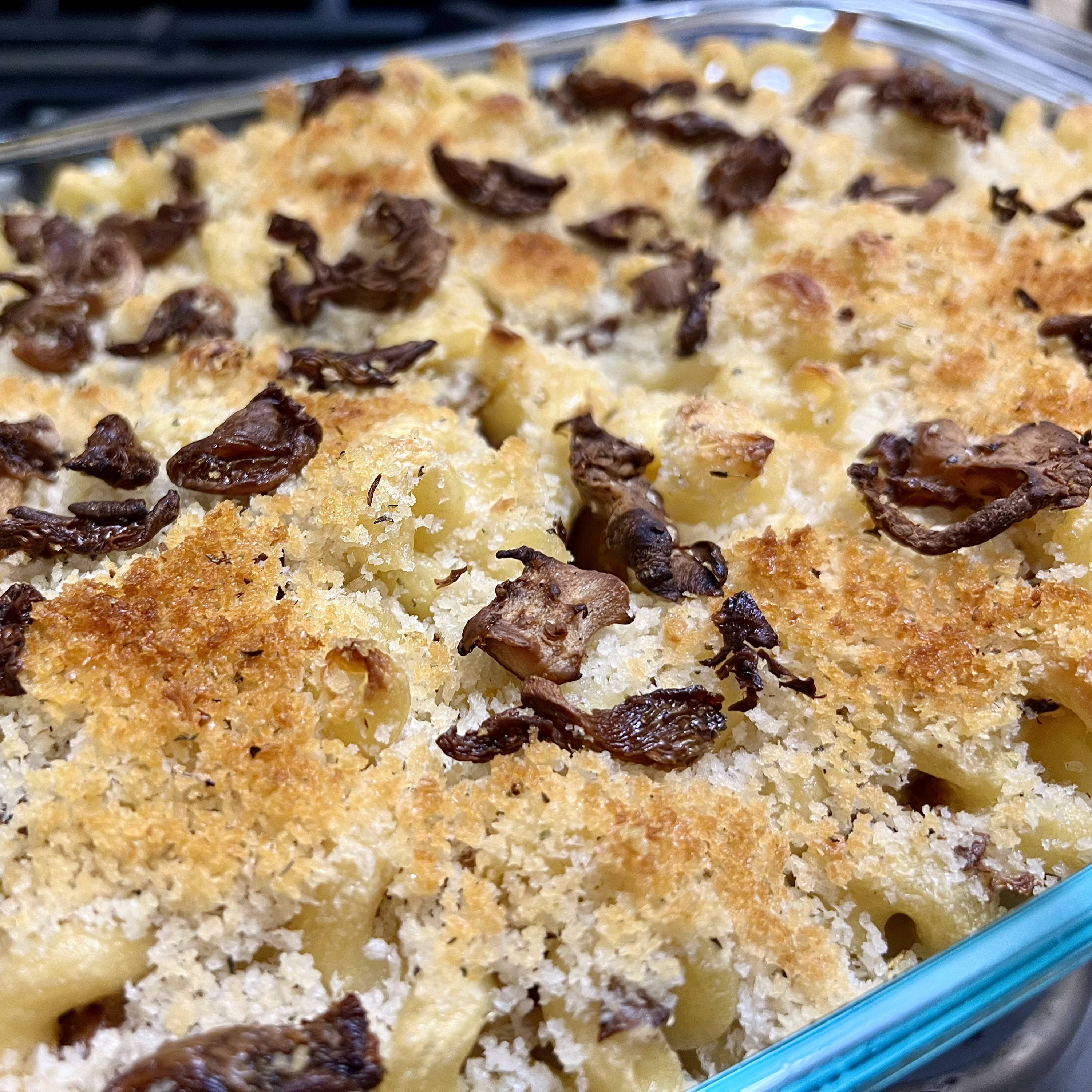 golden oyster mushroom mac and cheese