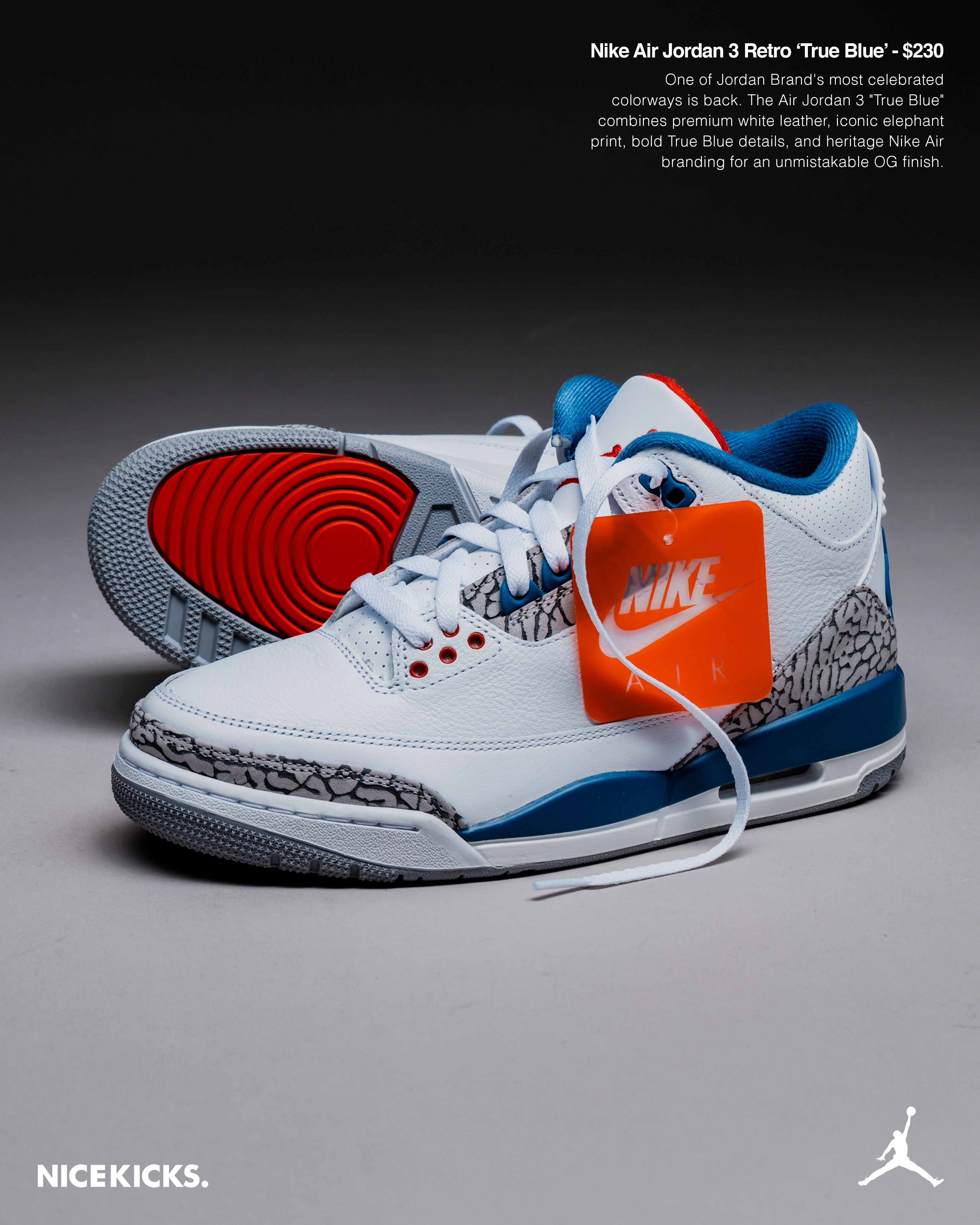 Nike Air Jordan 3 Retro 