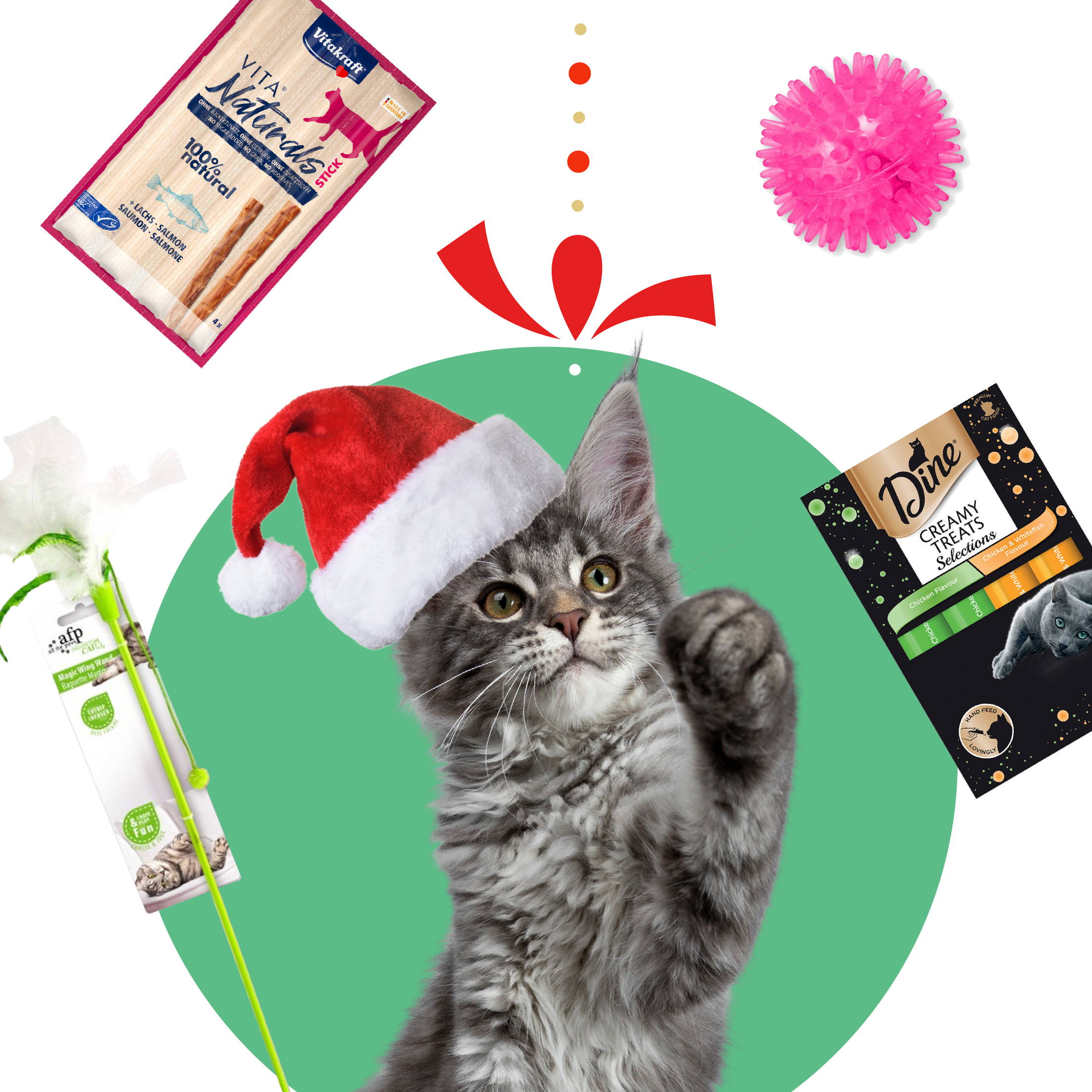 Stocking Stuffers for Cats