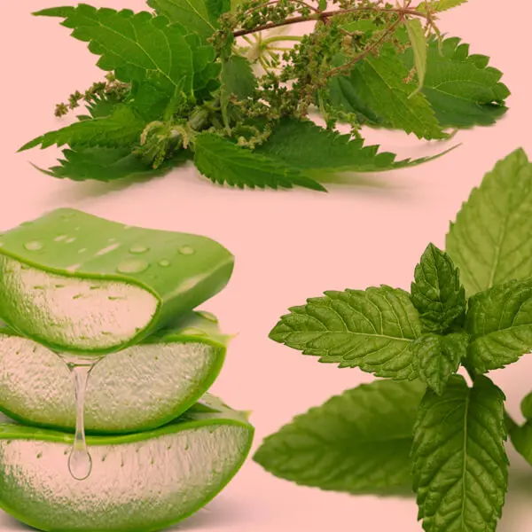 Botanical Bio-Actives & Free Radical Protection